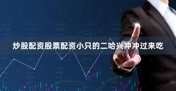 炒股配资股票配资小只的二哈兴冲冲过来吃