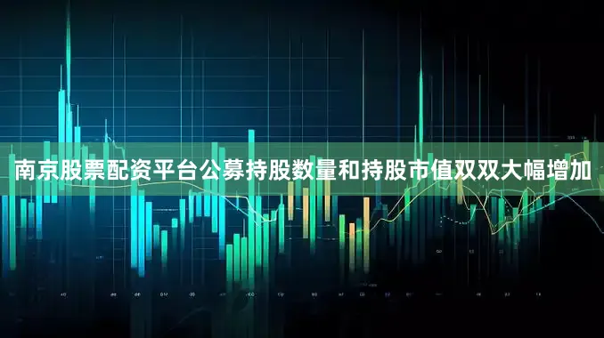 南京股票配资平台公募持股数量和持股市值双双大幅增加