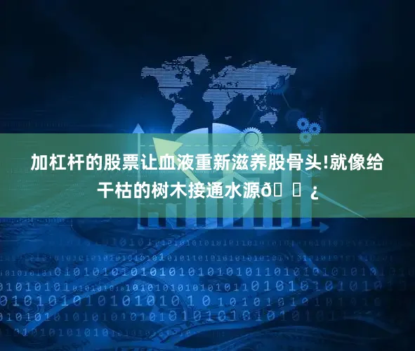 加杠杆的股票让血液重新滋养股骨头!就像给干枯的树木接通水源🌿